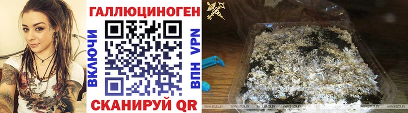 Псилоцибиновые грибы мухоморы  Салехард 